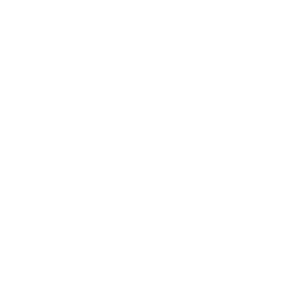 DoradoBet 500x500_white